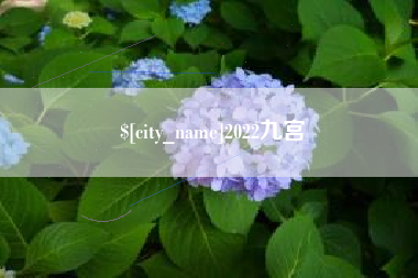南县2022九宫