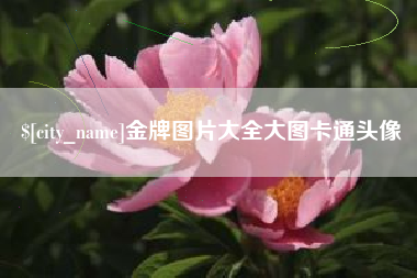 南县金牌图片大全大图卡通头像