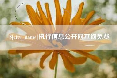 南县执行信息公开网查询免费