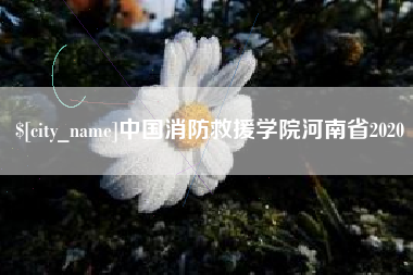 南县中国消防救援学院河南省2020