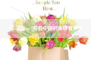 南县看看中国的金牌有多少